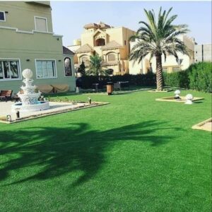 تقليم وتنسيق الأشجار في أبو ظبي