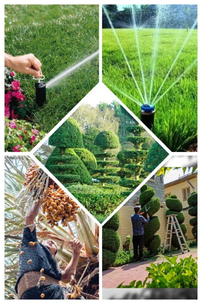 تركيب شبكات الري في أبو ظبي