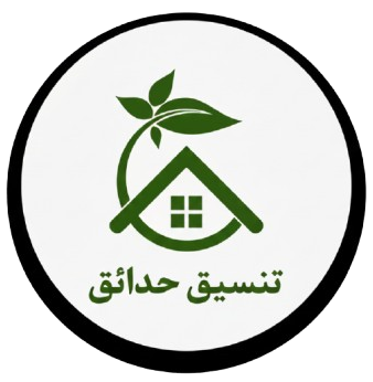 star_power_logo_-removebg-preview